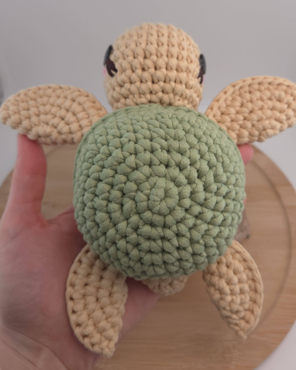 Tina the Turtle