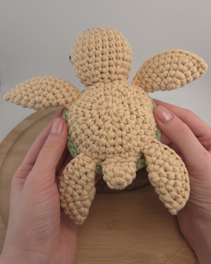 Tina the Turtle