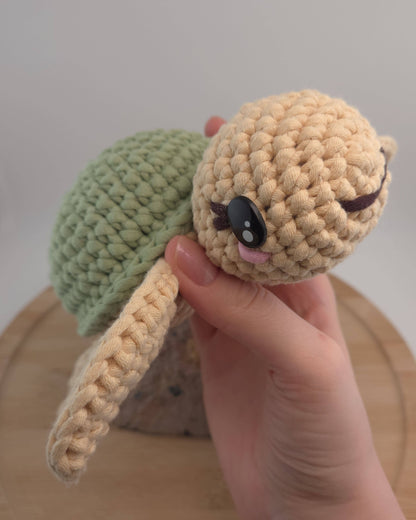 Tina the Turtle